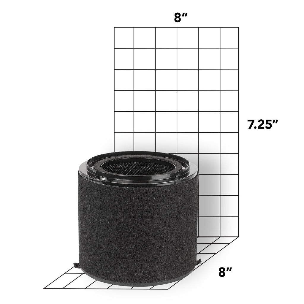 BB-AP-300 Filter