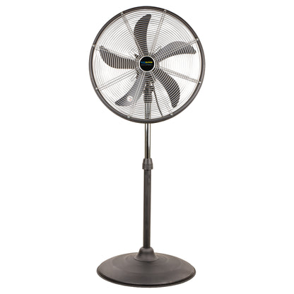 20 in. Oscillating Pedestal Floor Fan