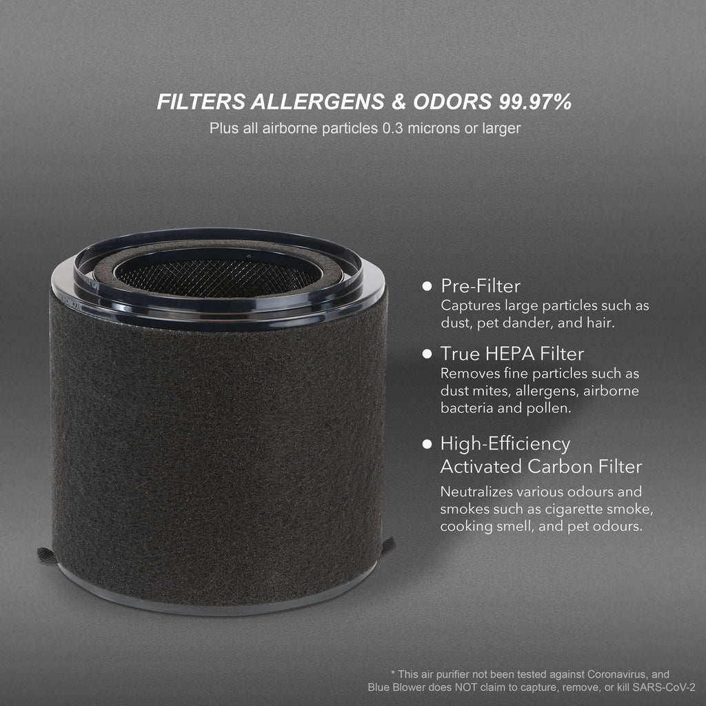 BB-AP-300 Filter