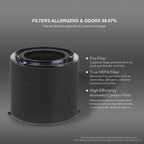 BB-AP-300 Filter