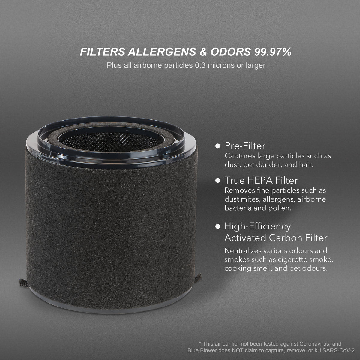 BB-AP-300 Filter